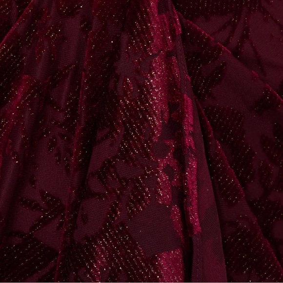 ADRIANNA PAPELL Burgundy One Shoulder Velvet Burnout Gown - Picture 11 of 11